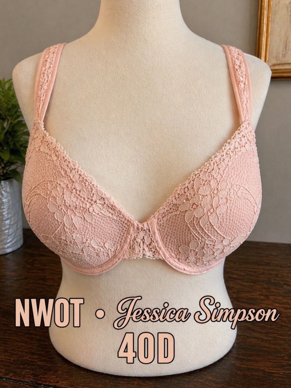 Jessica Simpson 40D Blush Pink Lace Lined Underwire Bra NWOT